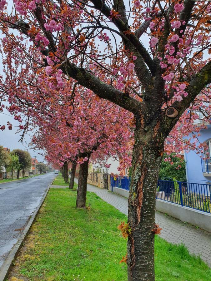 Laguna Apartmanhaz Hévíz 외부 사진