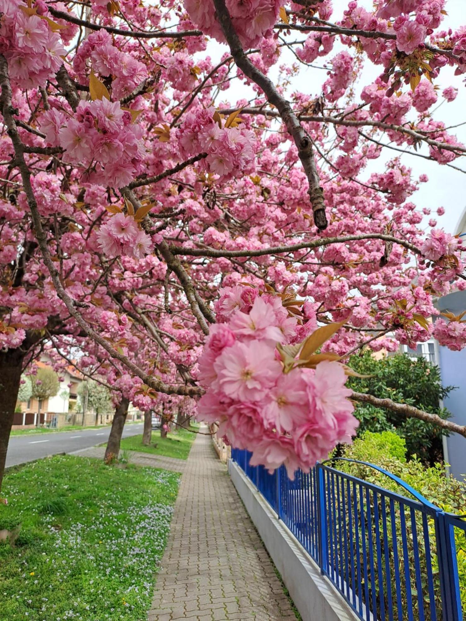 Laguna Apartmanhaz Hévíz 외부 사진
