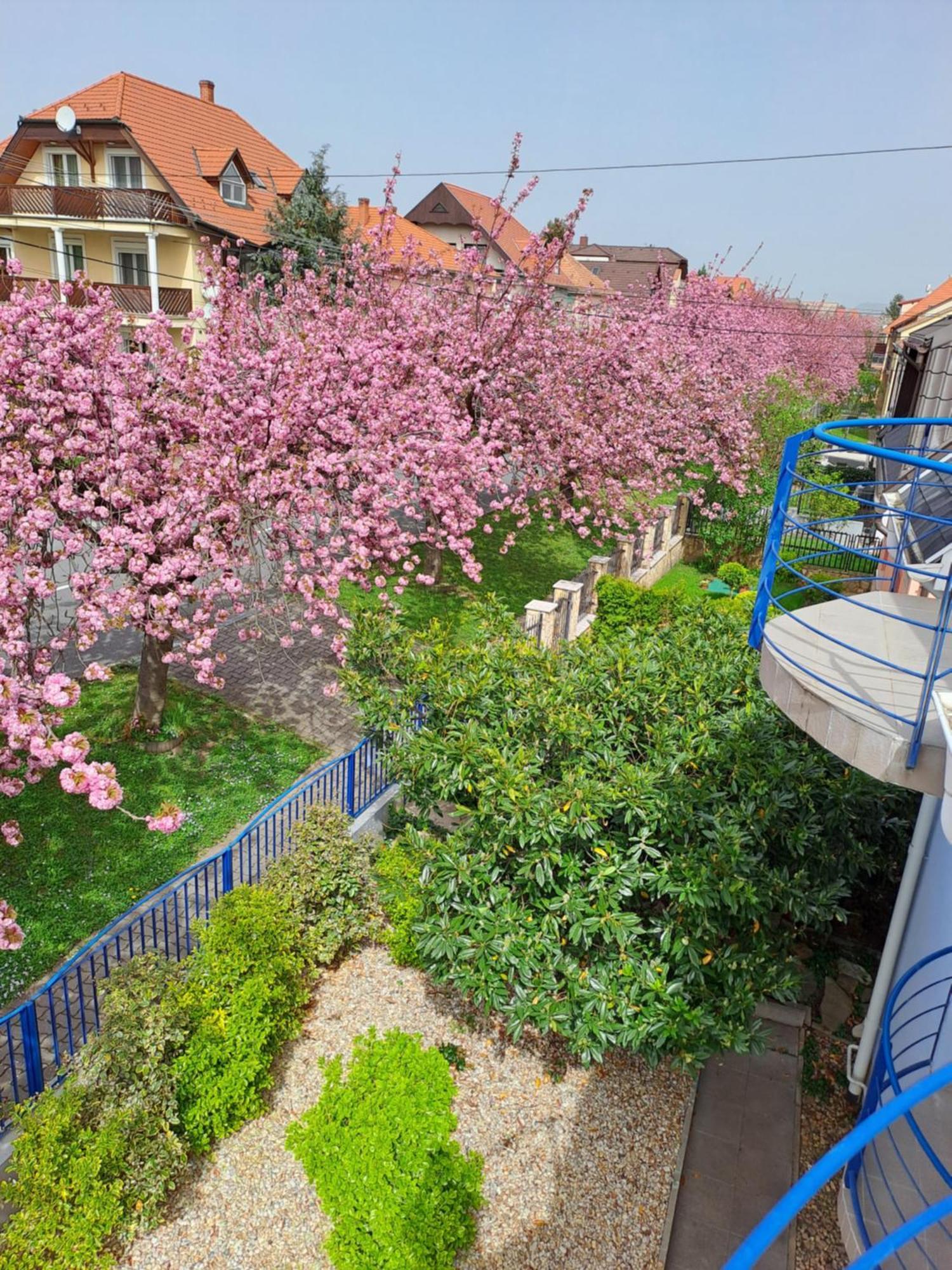 Laguna Apartmanhaz Hévíz 외부 사진